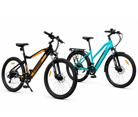 Biciclete electrice