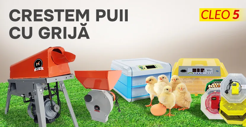 Creștem puii cu grijă !!!