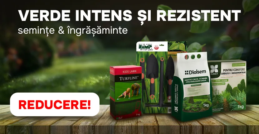 Verde intens și rezistent - semințe si îngrășăminte la reducere!