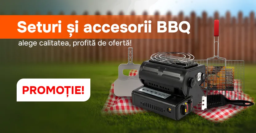 Seturi și accesorii BBQ