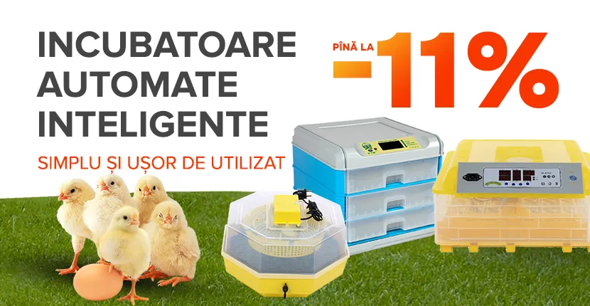 Incubatoare de încredere pentru succes garantat!