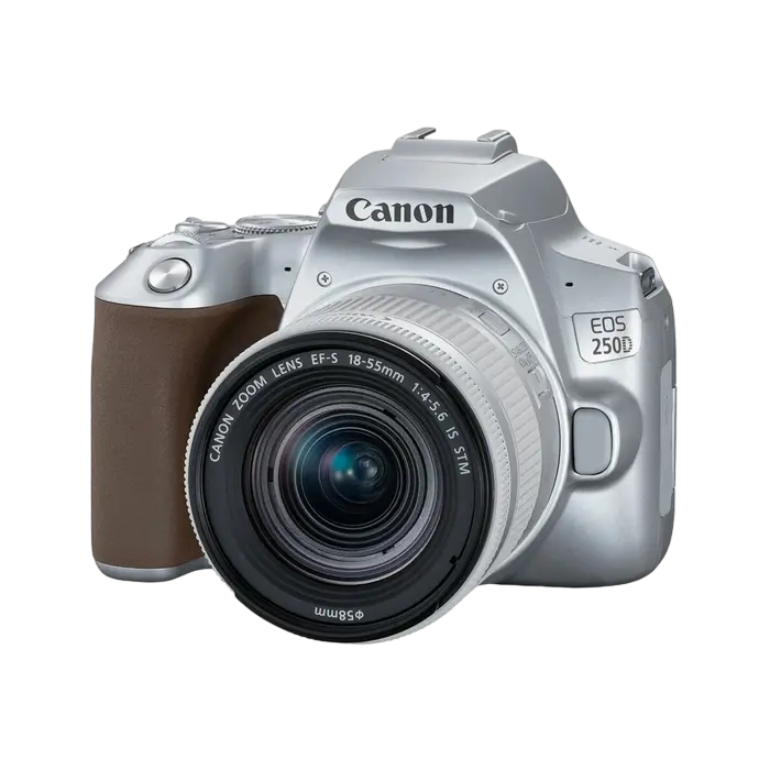 Aparat foto DSLR Canon EOS 250D + EF-S 18-55 IS, Argintiu