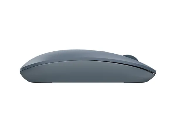 Mouse Wireless A4Tech FG20, Albastru
