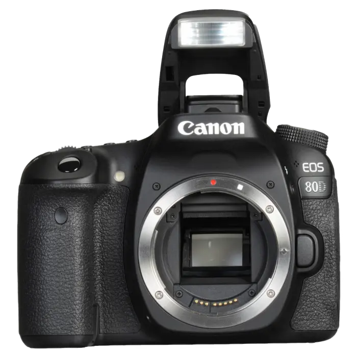 Aparat foto DSLR Canon EOS 80D, Negru