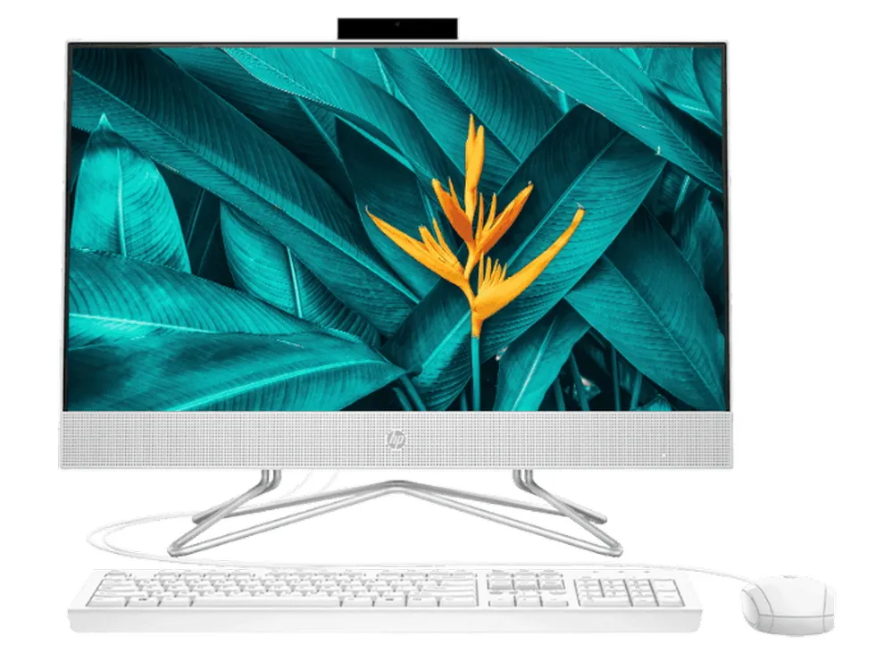 Computer All-in-One HP 200 G4, 21,5", Intel Core i3-10110U, 8GB/256GB, Windows 10 Pro, Alb