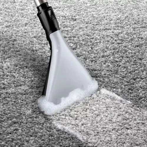 Aspirator Bosch BWD421PRO, Negru | Alb