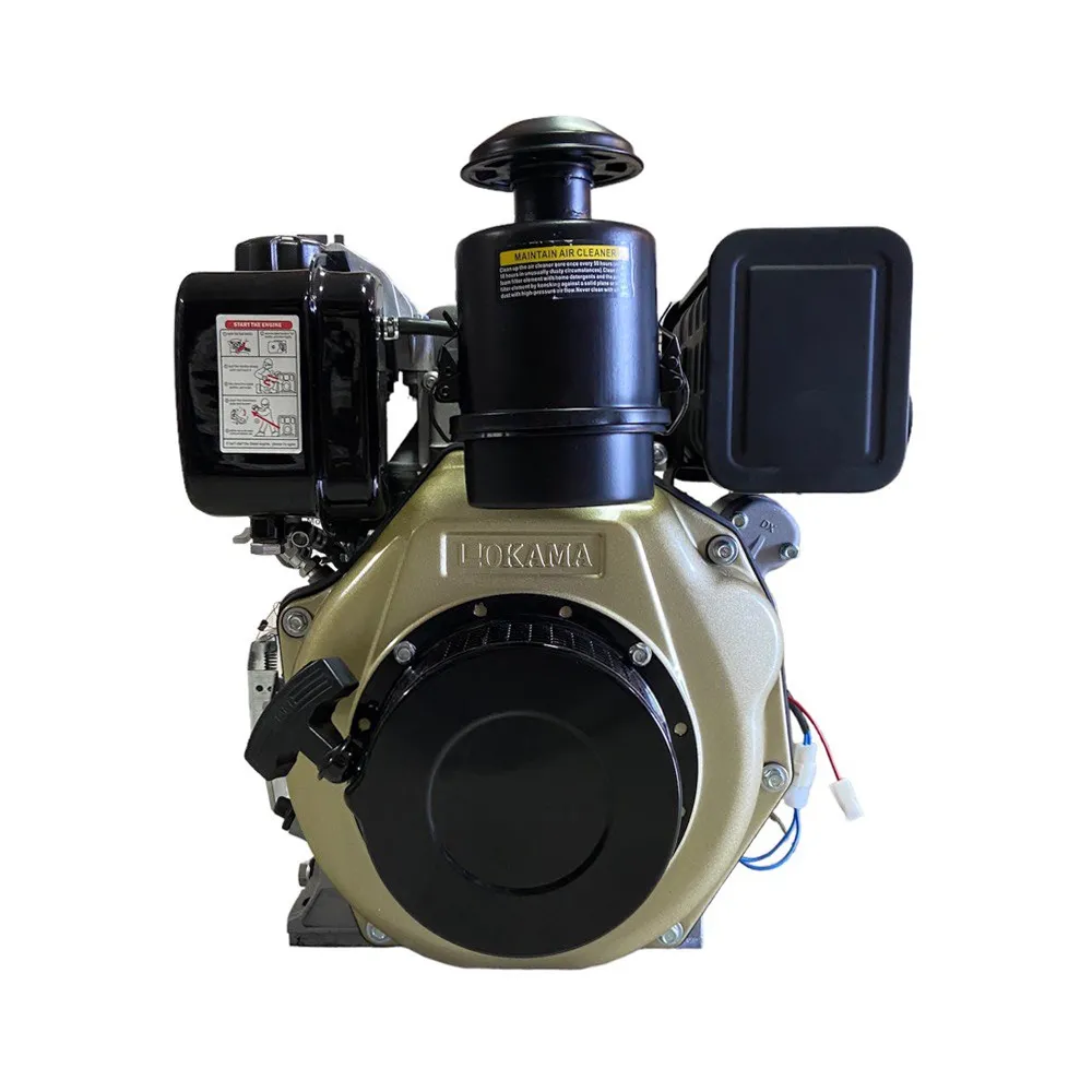 Motor motorina 7CP TechnoWorker (Сu starter)