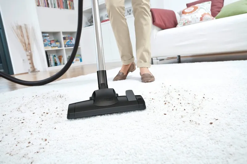 Aspirator Karcher DS 6, Galben | Negru