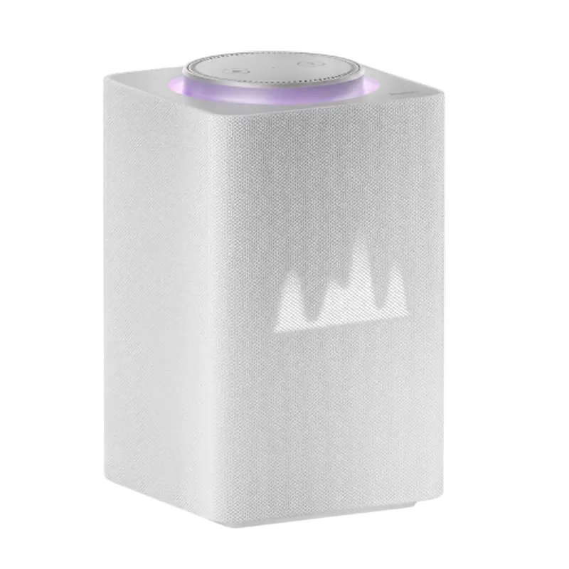 Difuzor Inteligent Yandex YNDX-00052, Gri