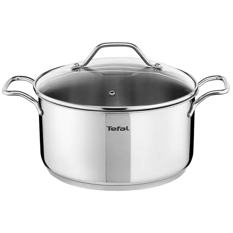 Cratiță Tefal Intuition, 4,9L, Argintiu
