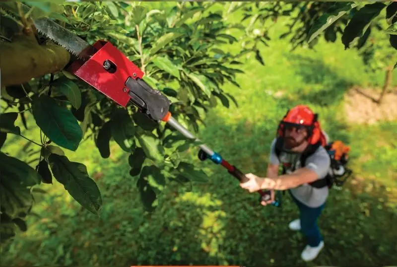 Masina multifunctionala pentru fructe MBBC 52 SS