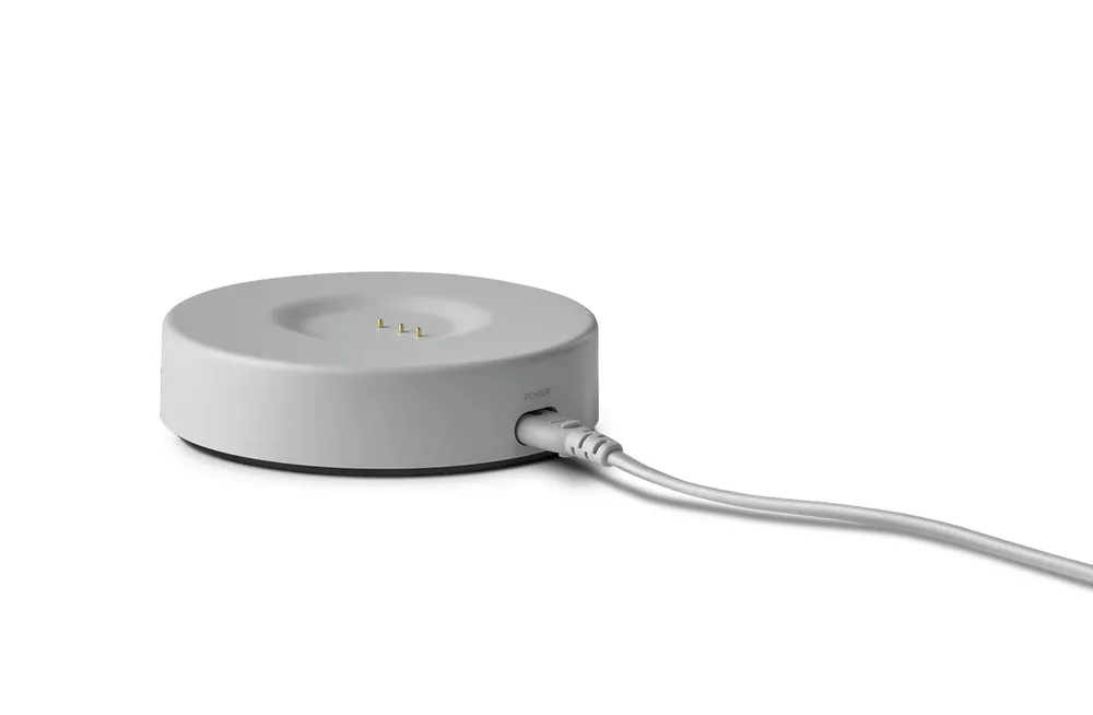 Boxă portabilă Harman Kardon Citation 200, Gri