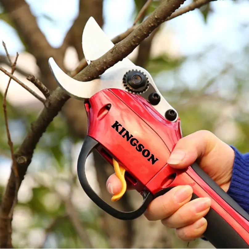 Foarfece electric pentru gradina