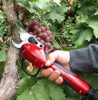 Foarfece electric pentru gradina