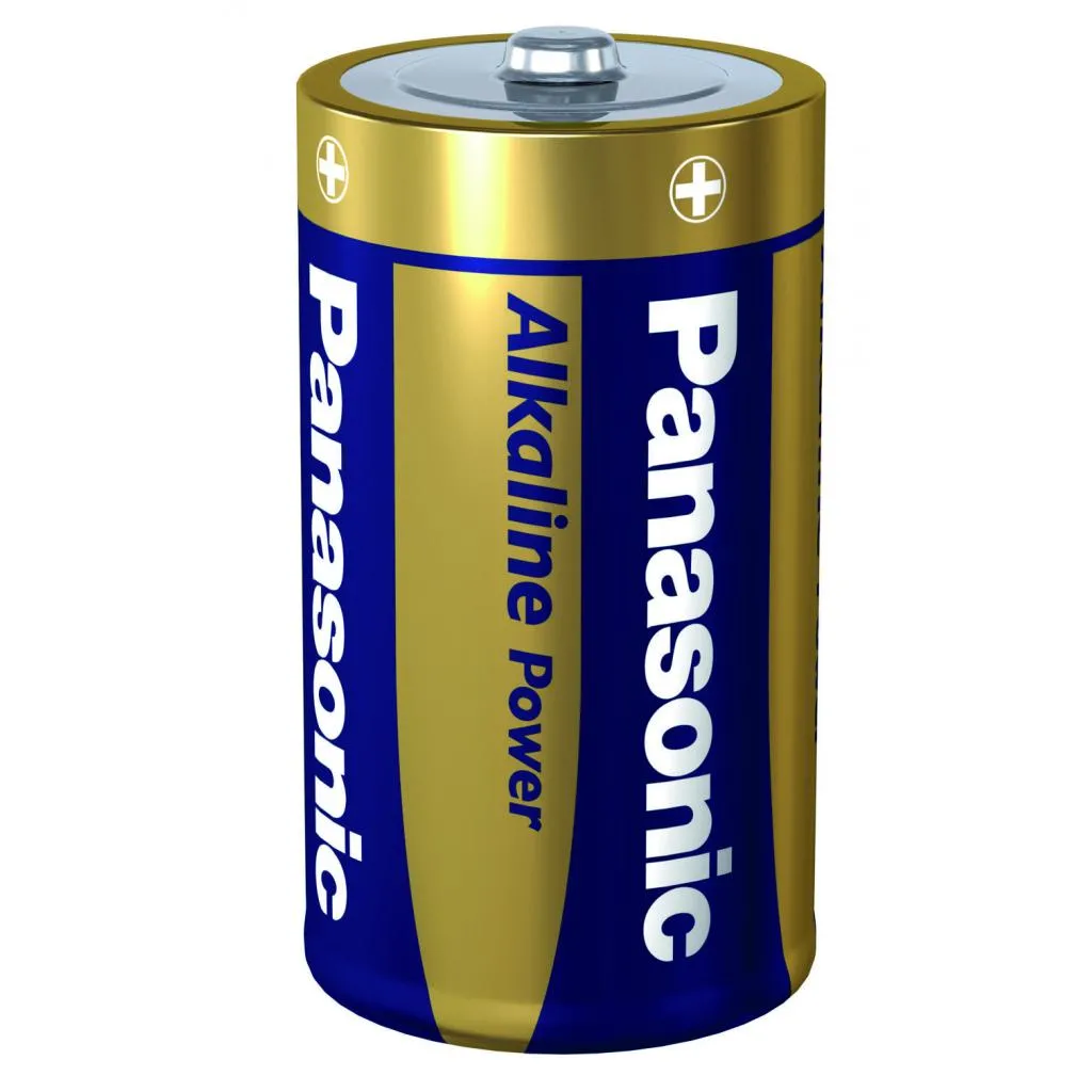 D size  Panasonic 