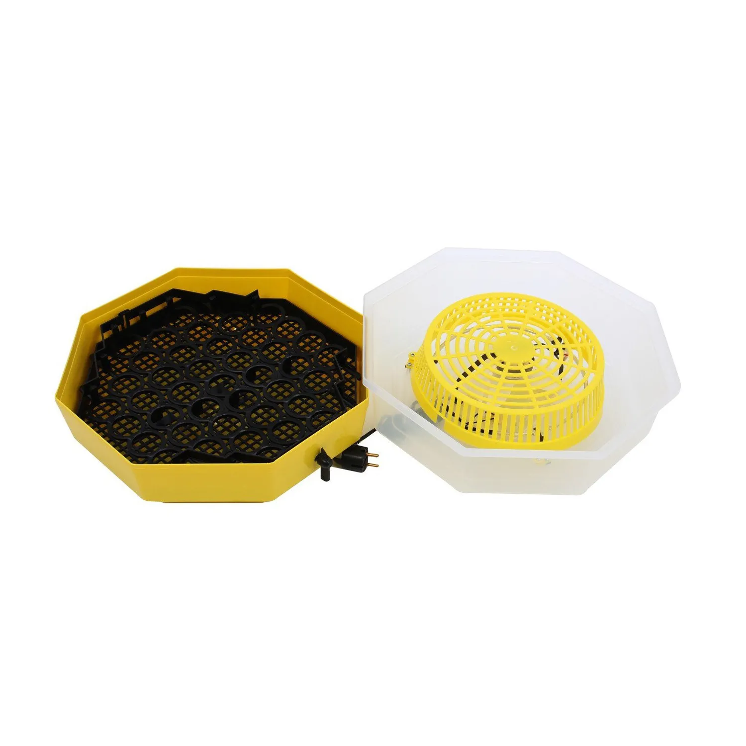 Incubator cu dispozitiv de intoarcere oua si termometru CLEO5DT/ INC3 (84362100)