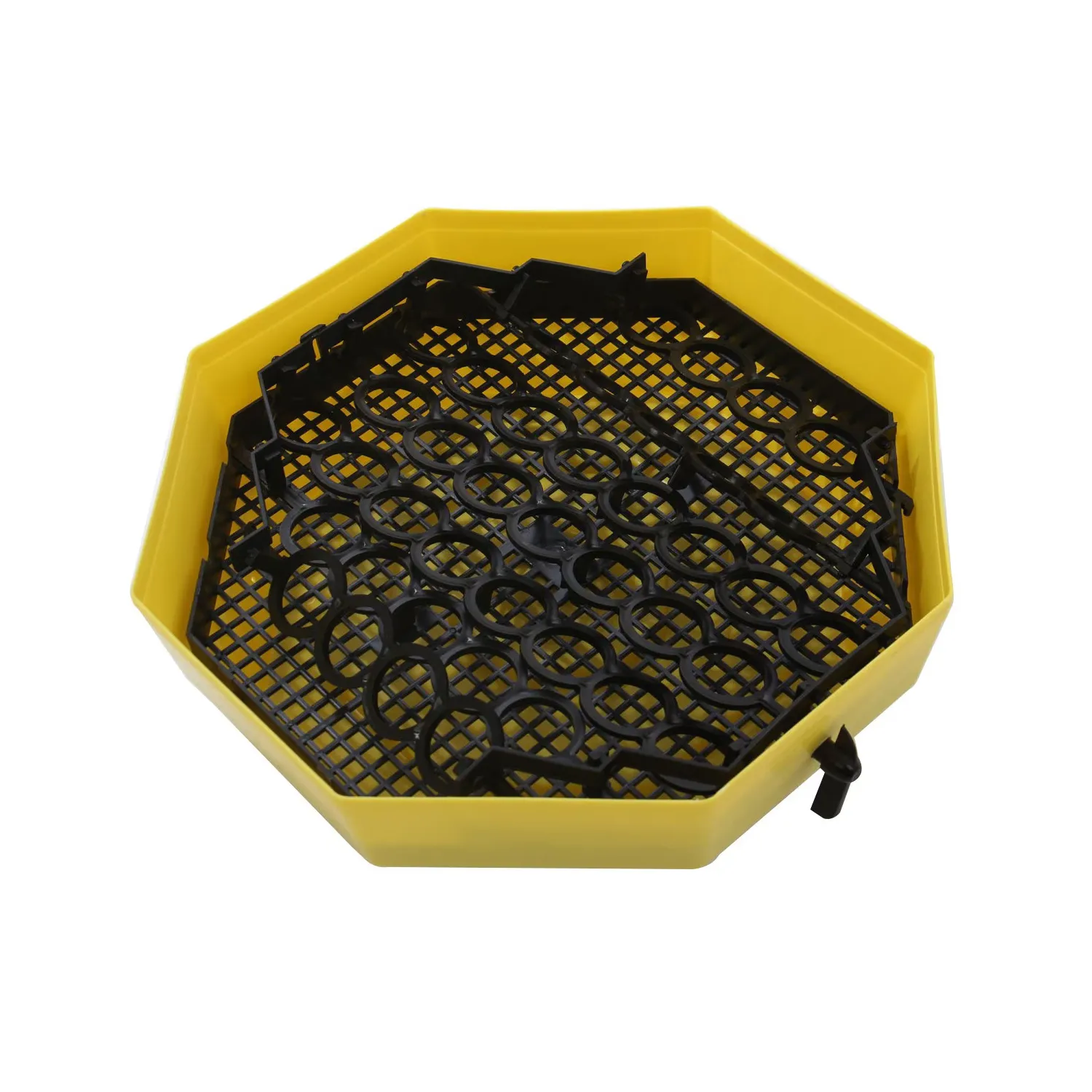 Incubator cu dispozitiv de intoarcere oua si termometru CLEO5DT/ INC3 (84362100)