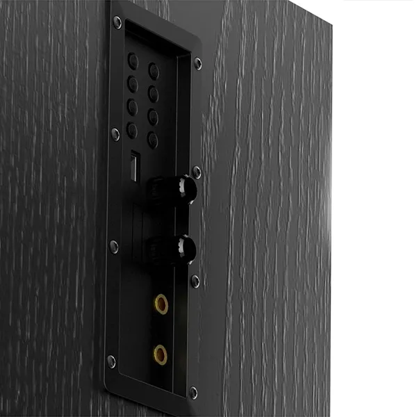 Sistem audio F&D T-60X, Negru