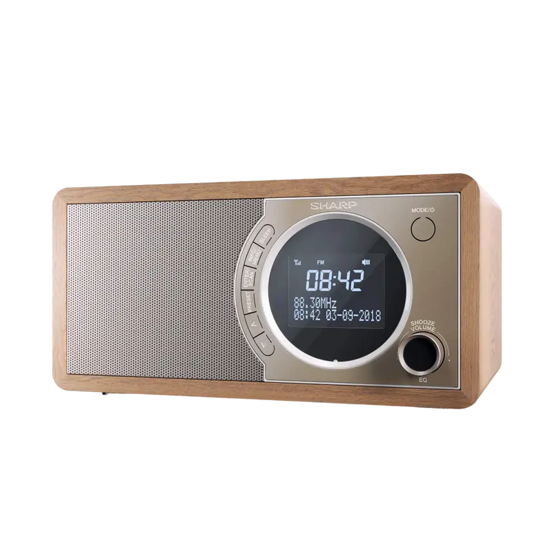 Radio portabil Sharp DR-450BRV03, Maro