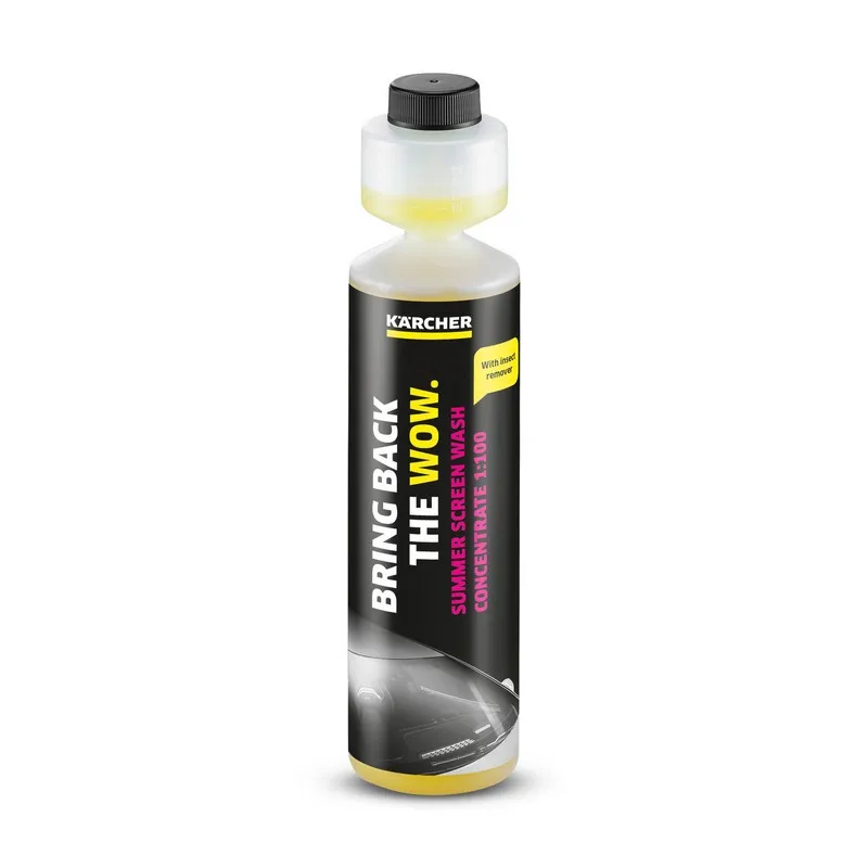 Soluție de curațat parbrizul Karcher RM 672, 250ml