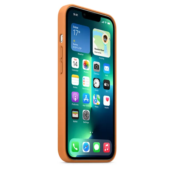 Husă Apple iPhone 13 Pro Max, Maro Auriu