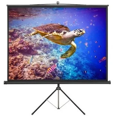 Ecran cu stativ Reflecta Crystal-Line, 1:1