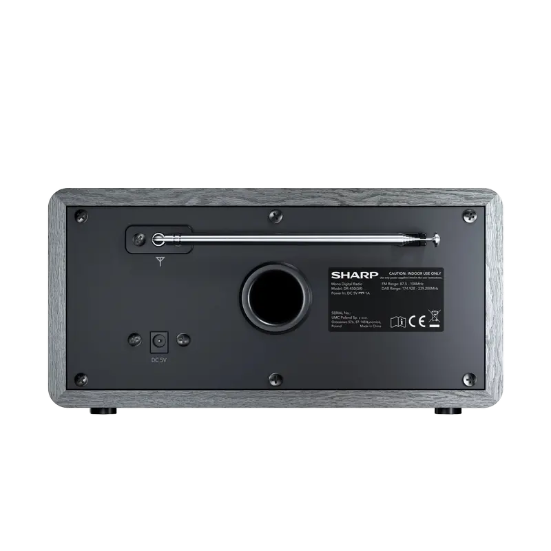 Radio portabil Sharp DR-450GRV02, Grey