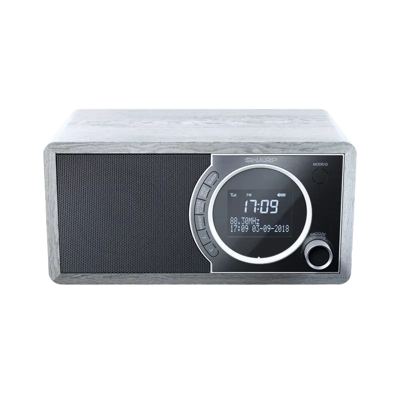 Radio portabil Sharp DR-450GRV02, Grey