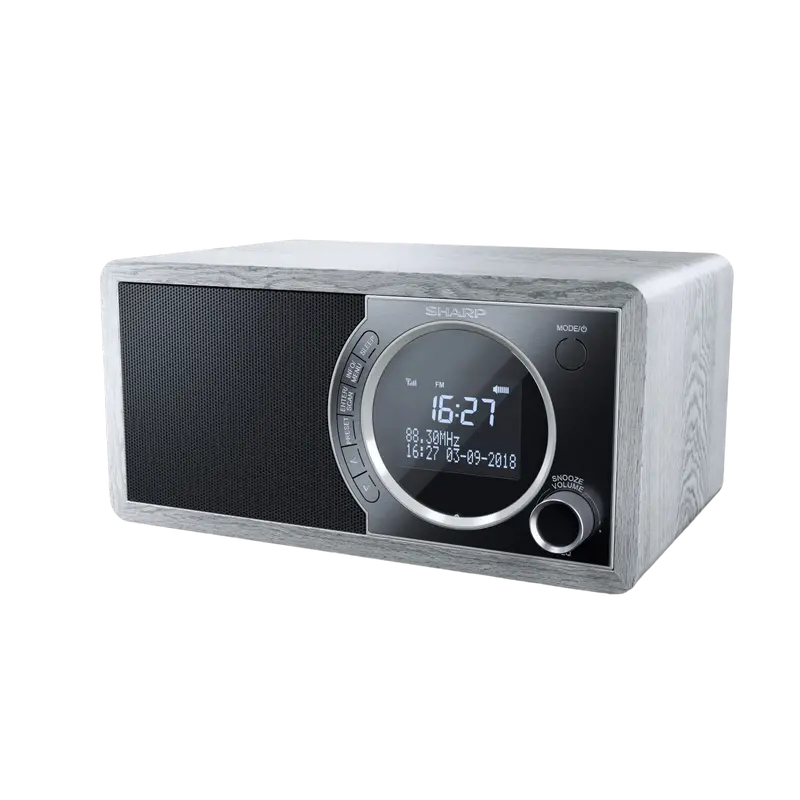 Radio portabil Sharp DR-450GRV02, Grey