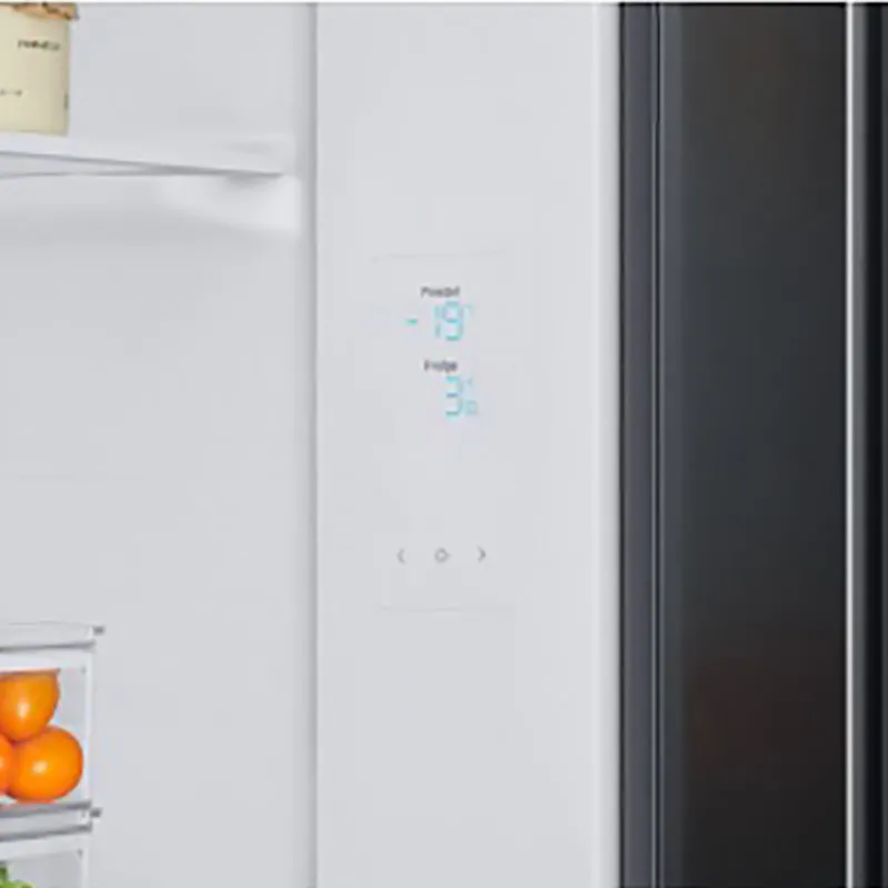 Frigider Samsung RS66A8100B1/UA, Twin Cooling Plus™, Negru