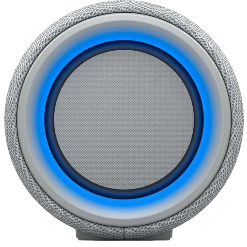 Sistem audio SONY SRS-XG300, Grey