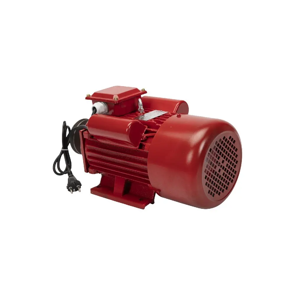 Motor electric 4,0 kW 3000rpm Micul Fermier