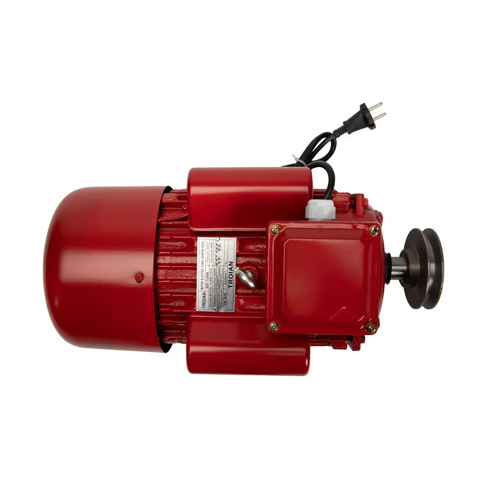 Motor electric 4,0 kW 3000rpm Micul Fermier