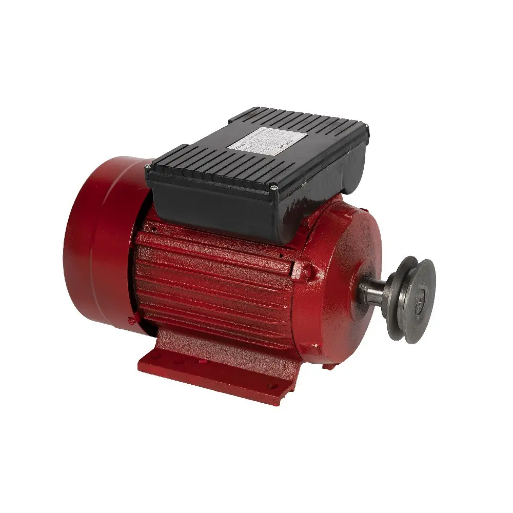 Motor electric 3:0 kW 3000rpm Micul Fermier
