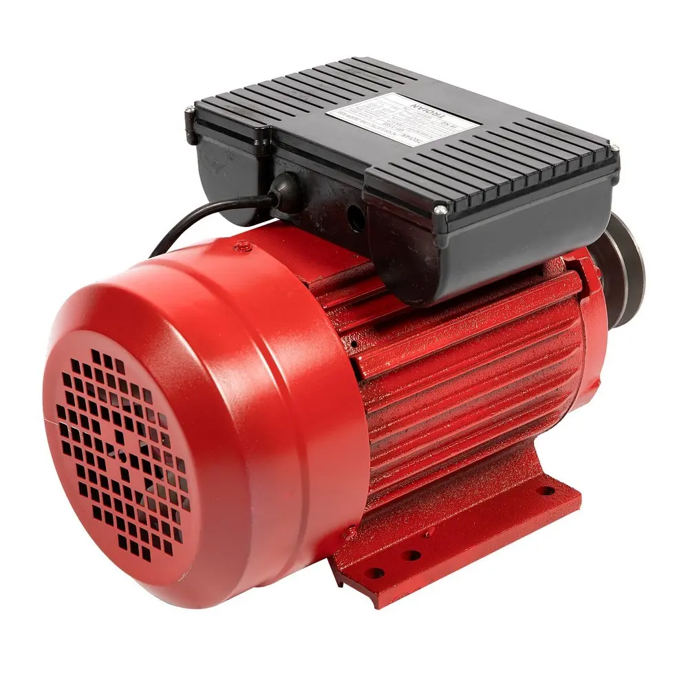 Motor electric 3:0 kW 3000rpm Micul Fermier