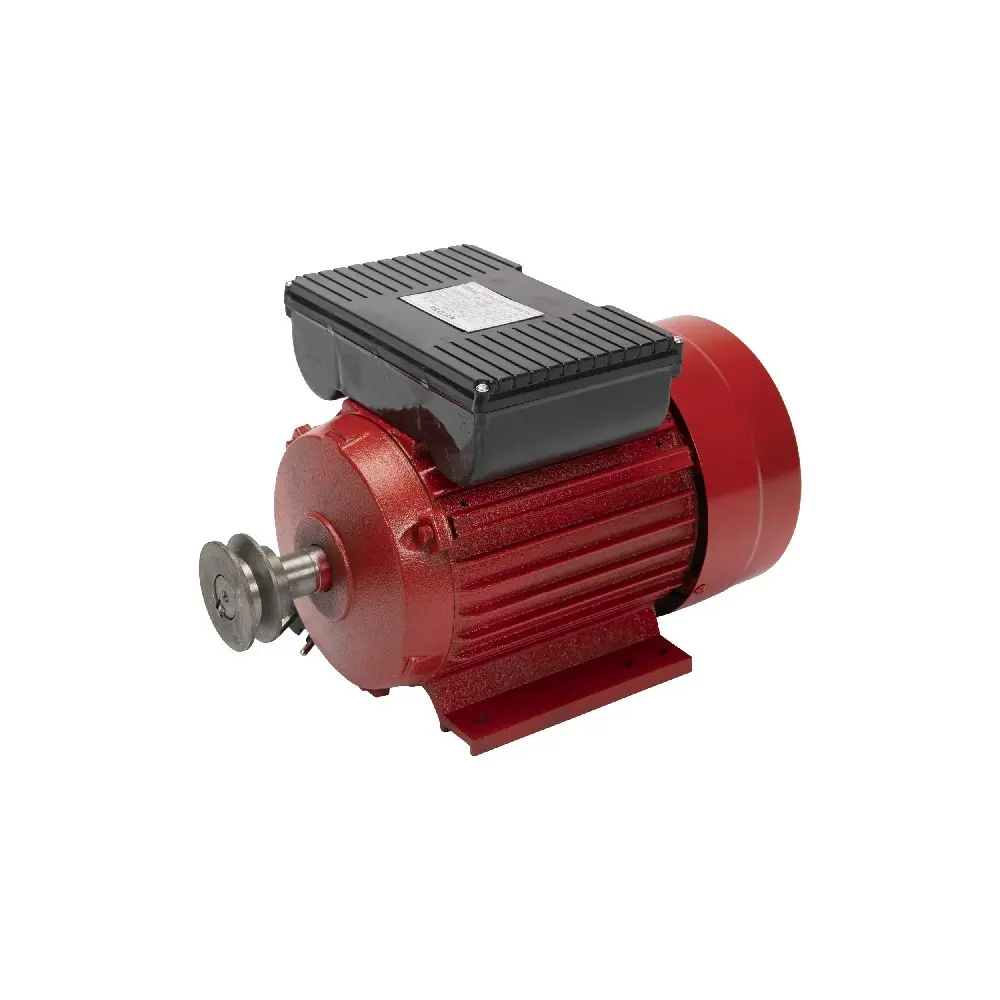 Motor electric 2:5 kW 3000rpm Micul Fermier