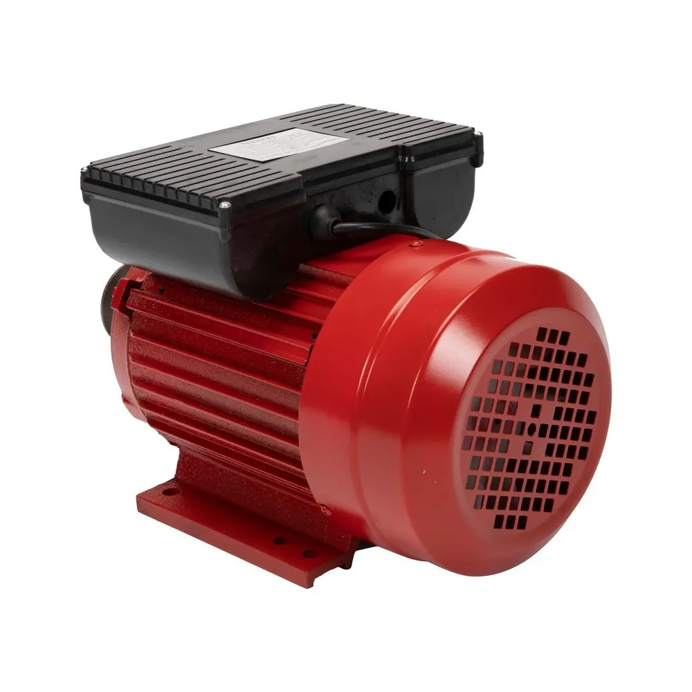 Motor electric 2:5 kW 3000rpm Micul Fermier