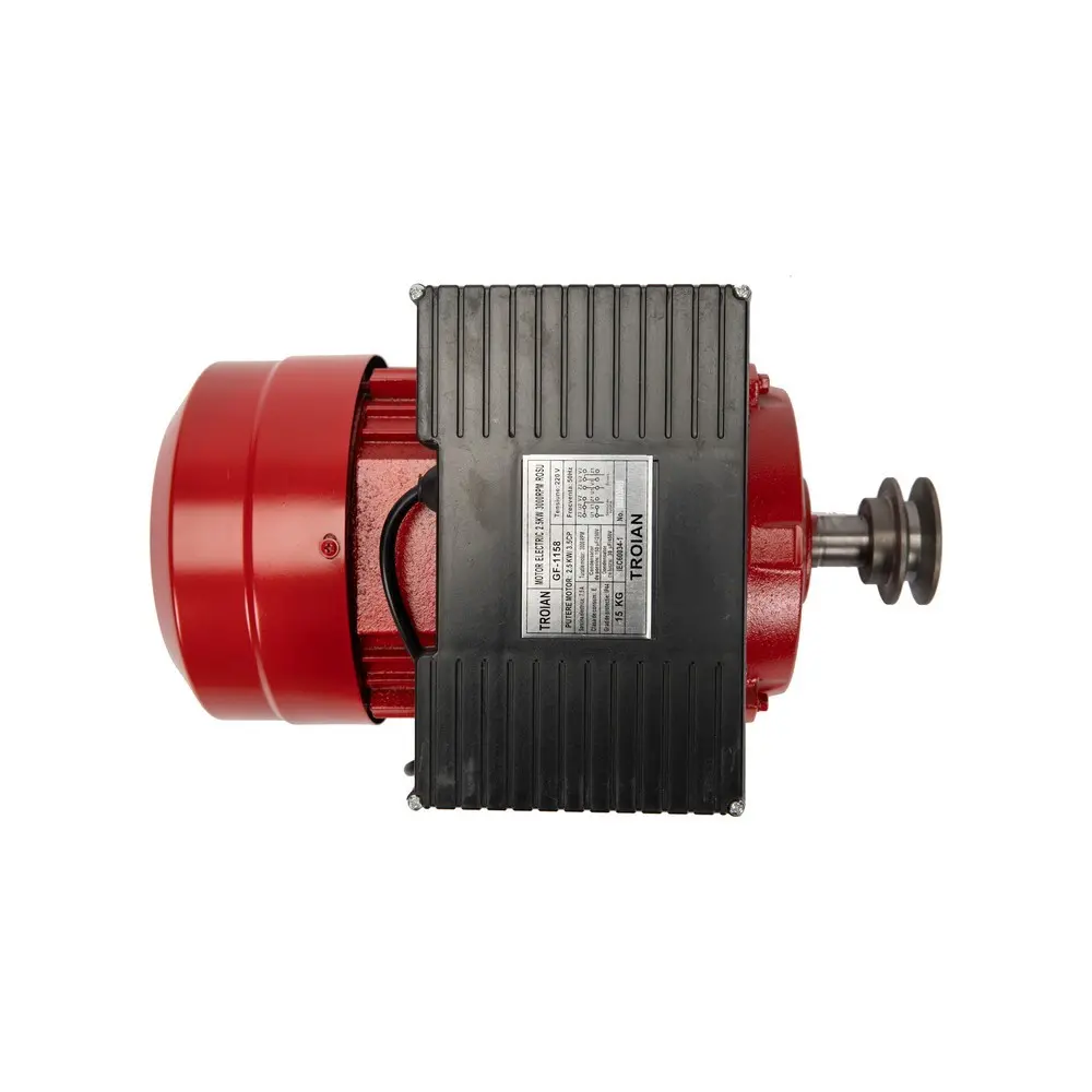 Motor electric 2:5 kW 3000rpm Micul Fermier