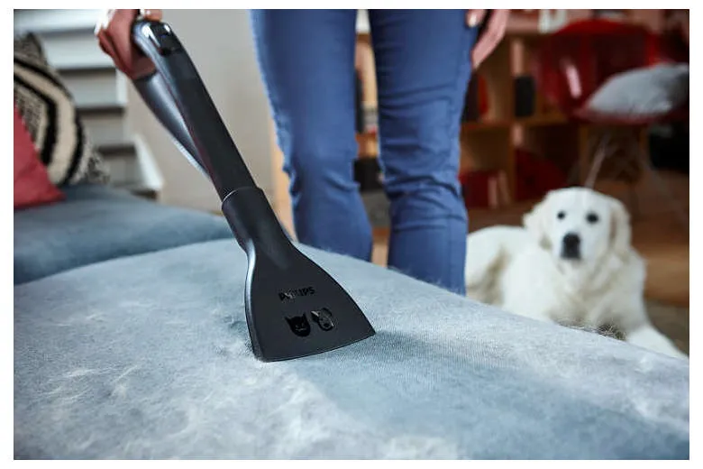 Aspirator Philips FC8246/09, Verde | Negru