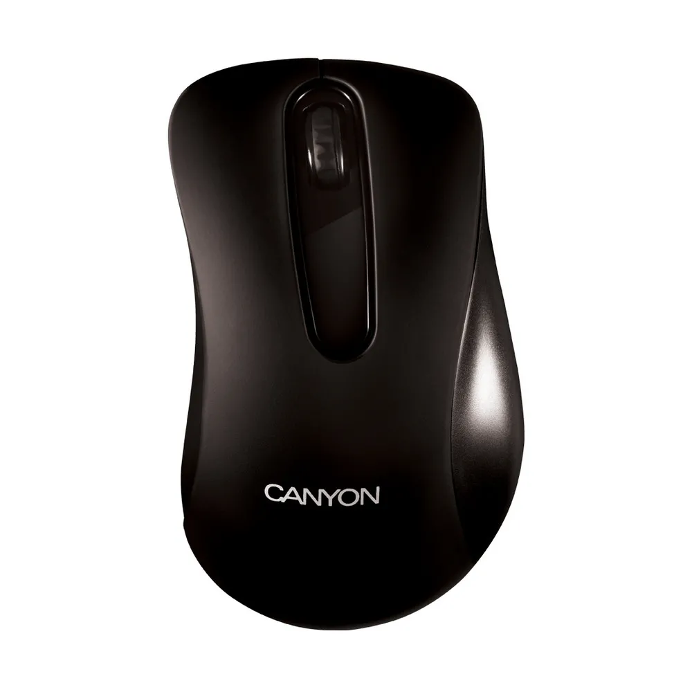 Mouse Canyon Barbone, Negru