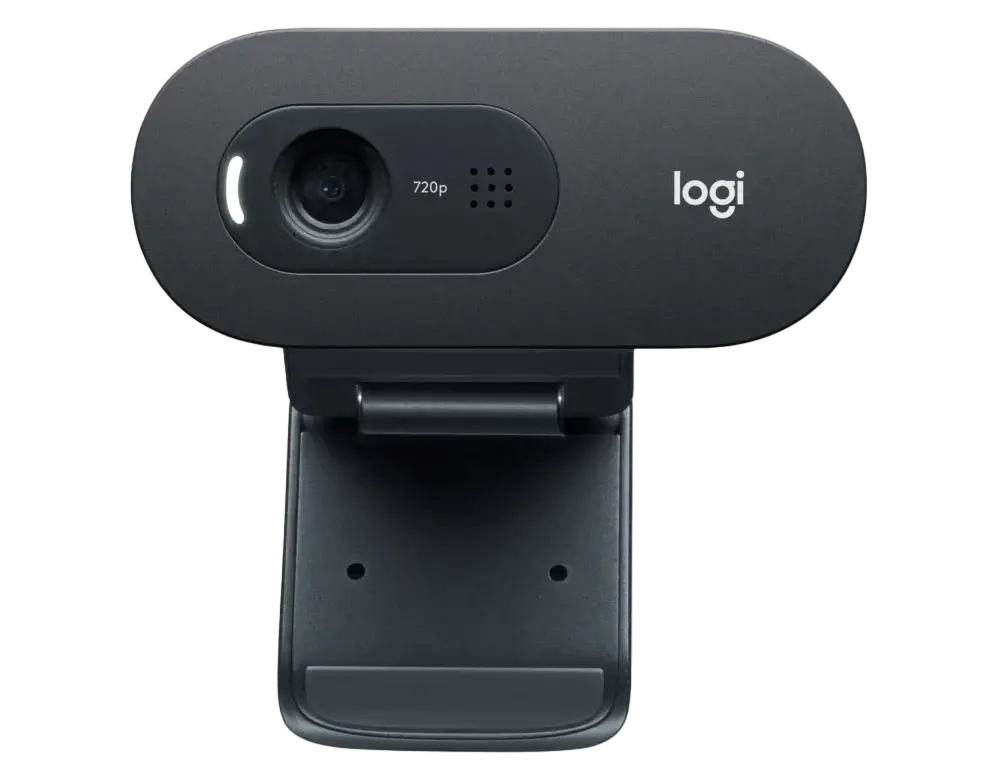 Cameră Web Logitech C505 HD, HD 720p, Negru