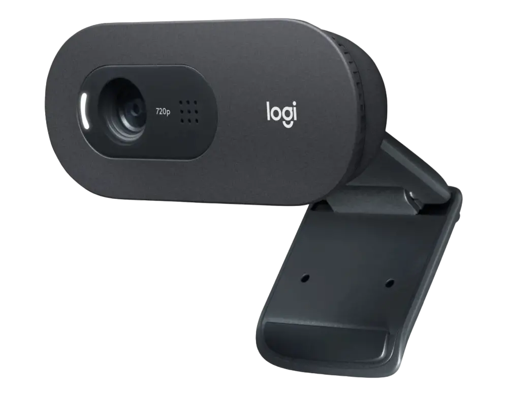 Cameră Web Logitech C505 HD, HD 720p, Negru