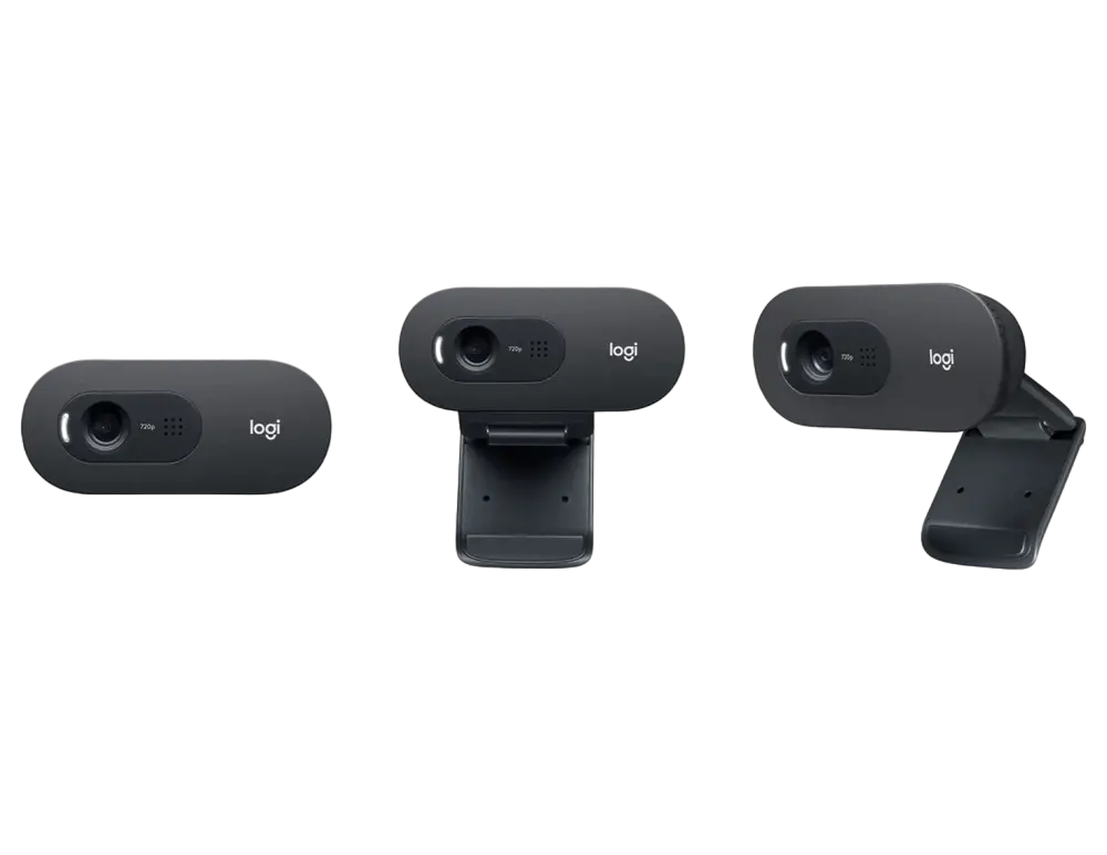 Cameră Web Logitech C505 HD, HD 720p, Negru