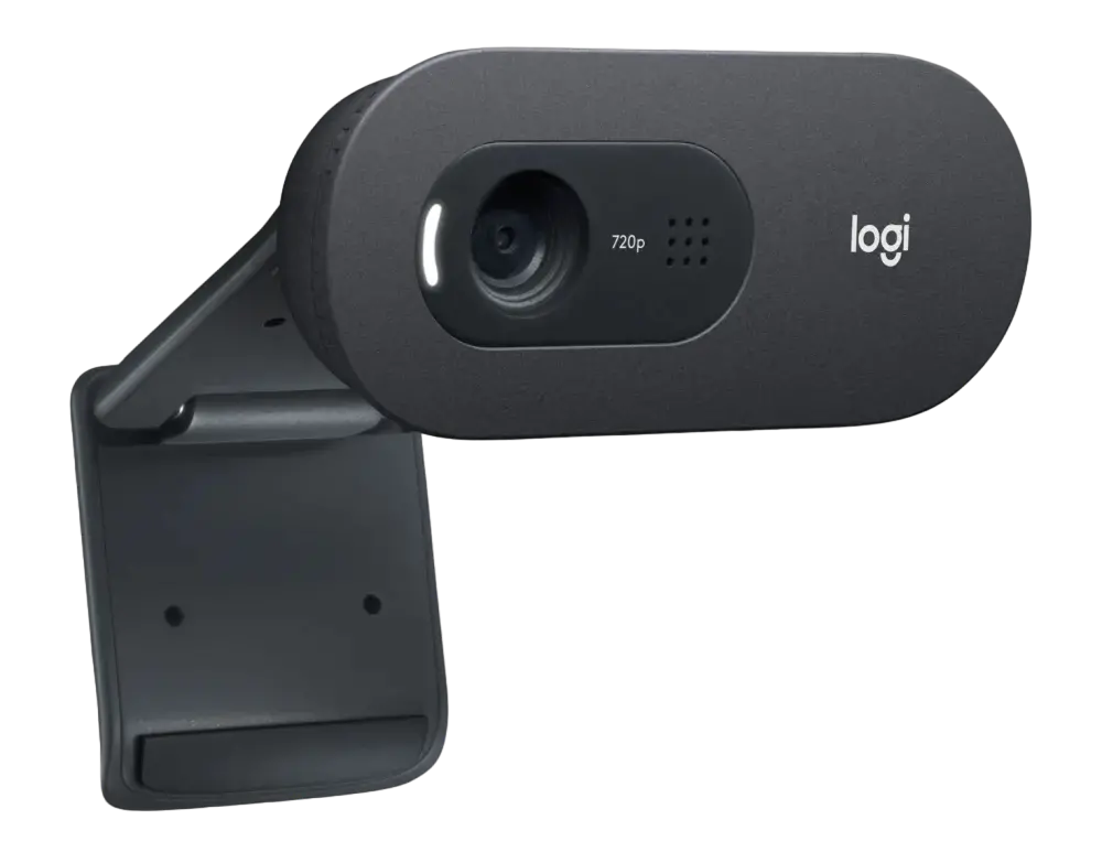 Cameră Web Logitech C505 HD, HD 720p, Negru