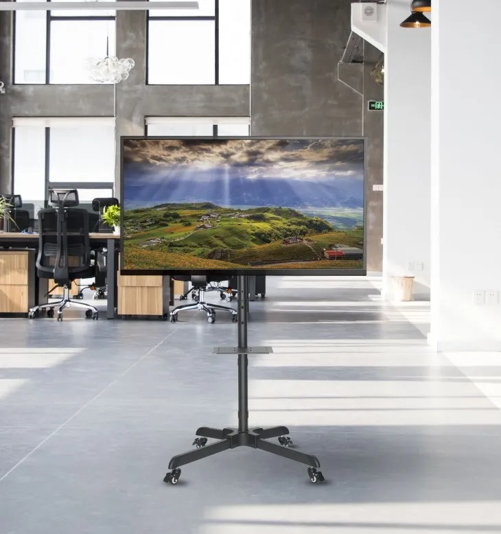 Suport TV Mobil Reflecta TV Stand 55P, Negru