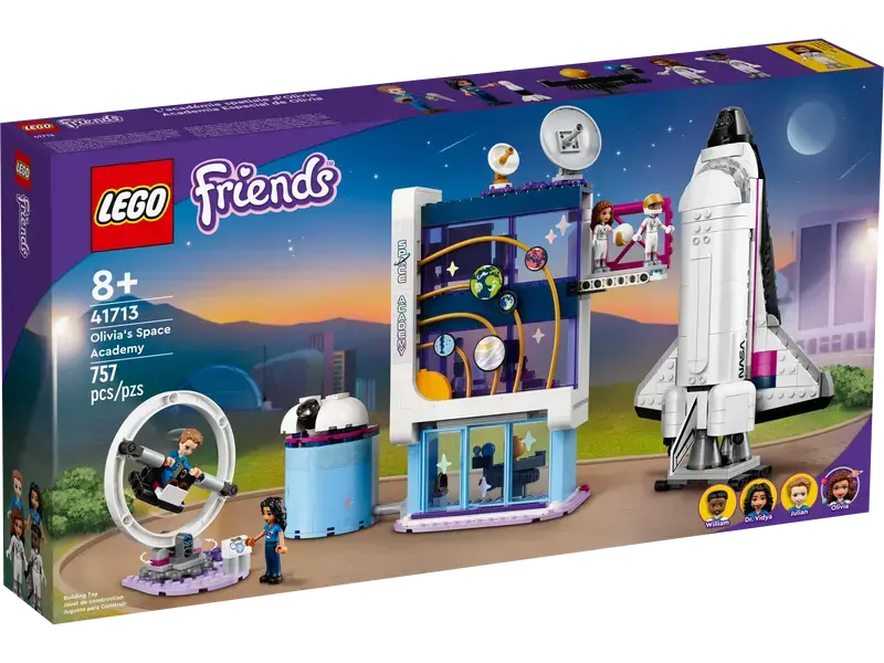 Constructor LEGO 41713, 8+