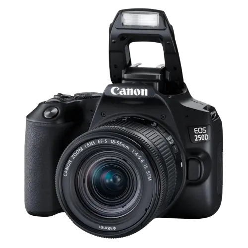 Aparat foto DSLR Canon EOS 250D + EF-S 18-55 DC III, Negru