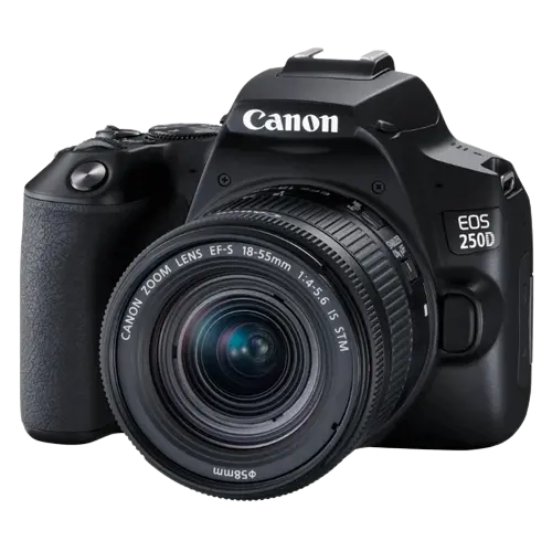 Aparat foto DSLR Canon EOS 250D + EF-S 18-55 DC III, Negru