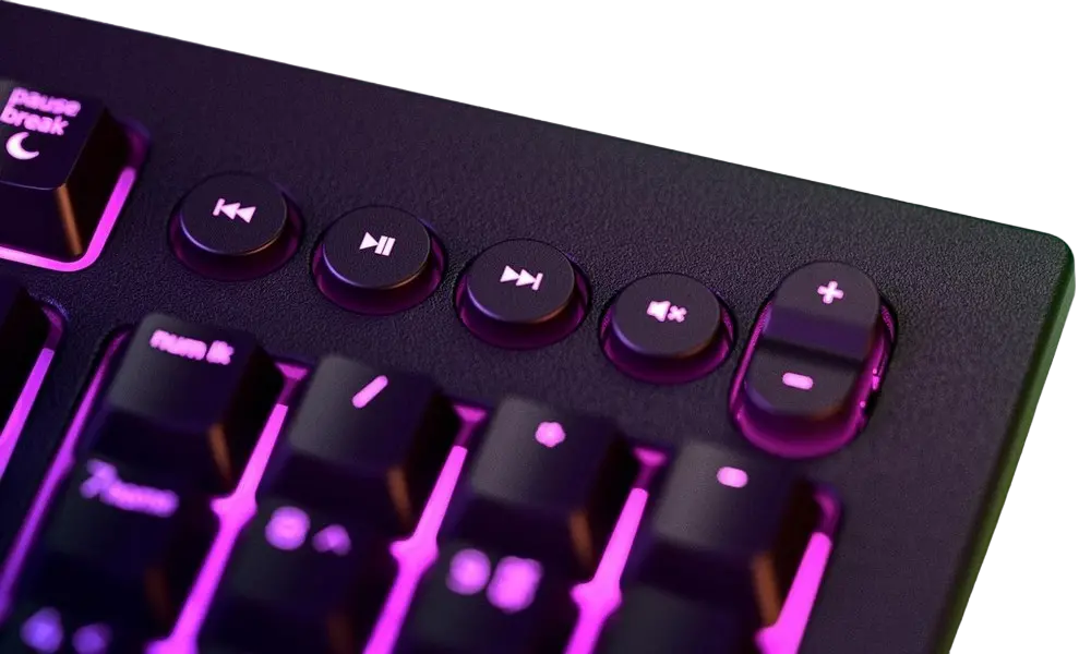 Tastatură Razer Razer Cynosa V2, Cu fir, Negru