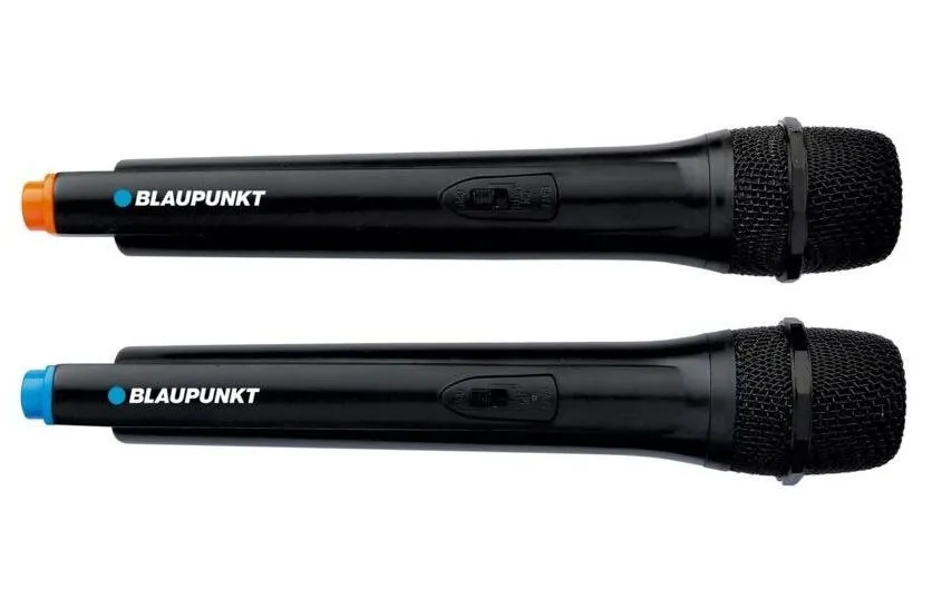 Boxă portabilă BLAUPUNKT PB12DB, Negru